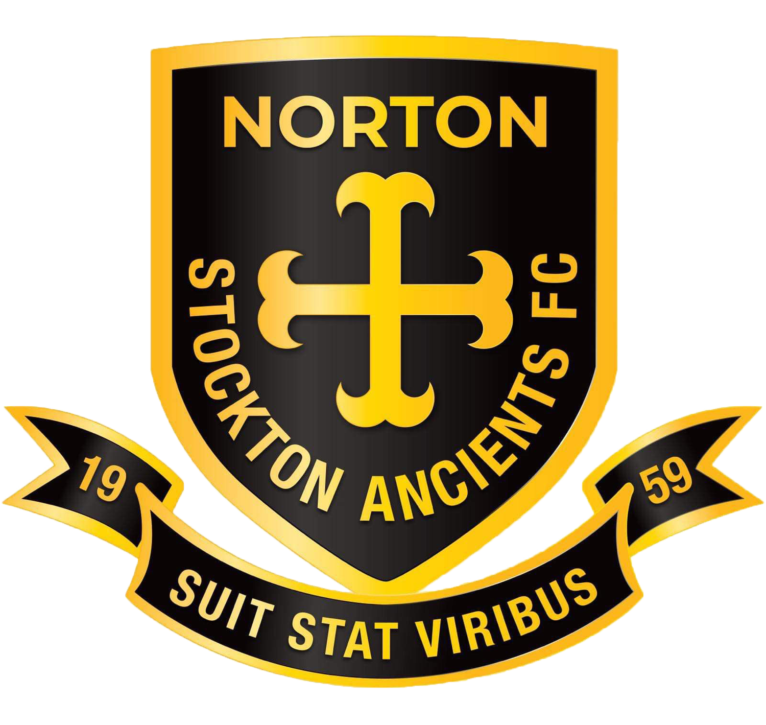 Norton & Stockton Ancients Ladies